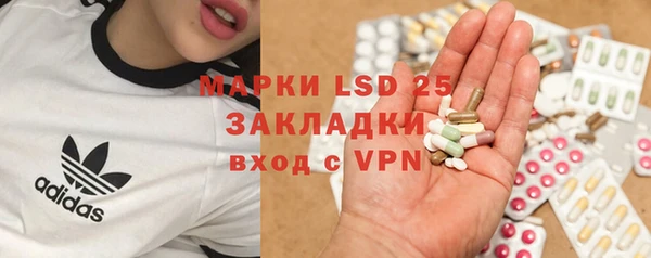a pvp Новозыбков