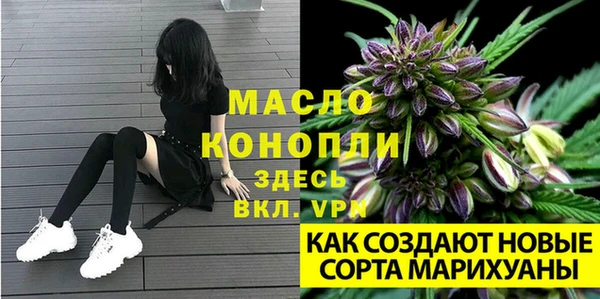 каннабис Аркадак