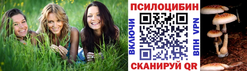 Галлюциногенные грибы Psilocybine cubensis  наркошоп  блэк спрут как зайти  Междуреченск 